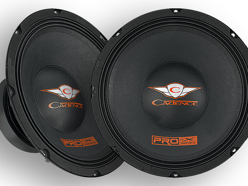 This image shows The Pro-X series SubWoofer